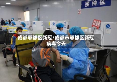 成都郫都区新冠/成都市郫都区新冠病毒今天-第3张图片