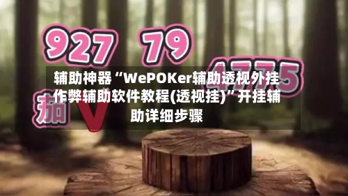 辅助神器“WePOKer辅助透视外挂作弊辅助软件教程(透视挂)”开挂辅助详细步骤-第2张图片