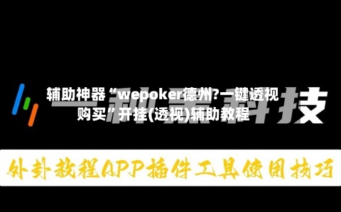 辅助神器“wepoker德州?一键透视购买”开挂(透视)辅助教程-第2张图片