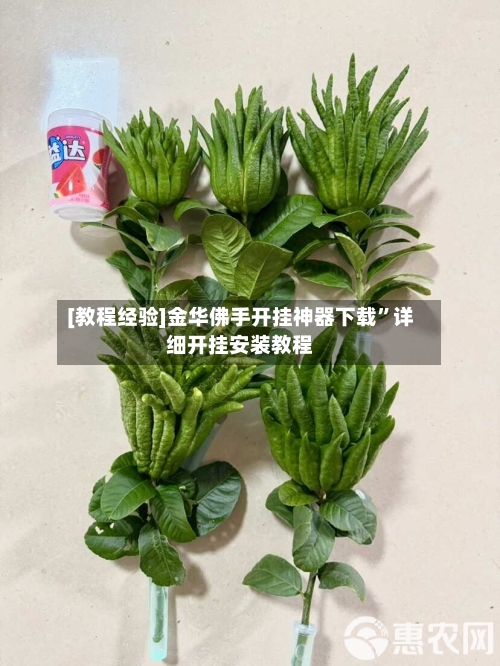 [教程经验]金华佛手开挂神器下载	”详细开挂安装教程-第3张图片
