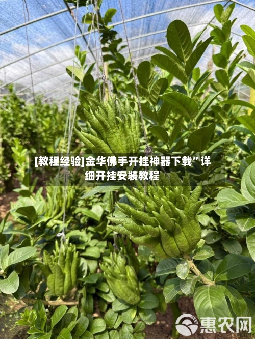 [教程经验]金华佛手开挂神器下载”详细开挂安装教程-第2张图片