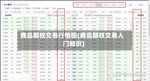 商品期权交易行情图(商品期权交易入门知识)-第2张图片