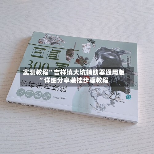 实测教程”吉祥填大坑辅助器通用版	”详细分享装挂步骤教程-第2张图片