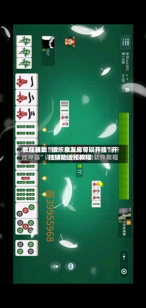 教程辅助“微乐亲友房可以开挂”开挂辅助透视教程