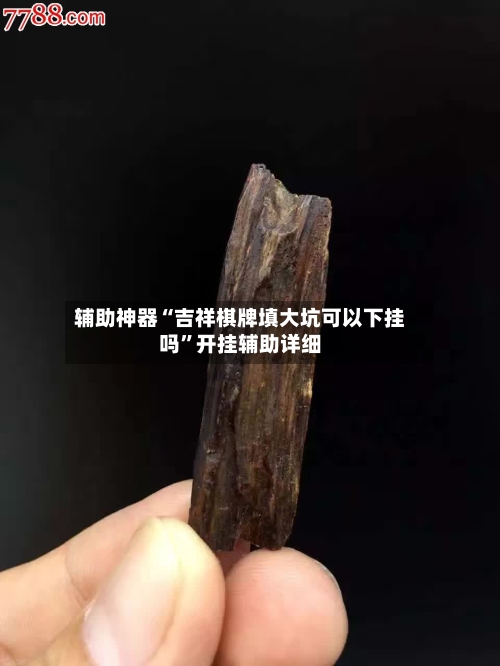 辅助神器“吉祥棋牌填大坑可以下挂吗	”开挂辅助详细-第2张图片