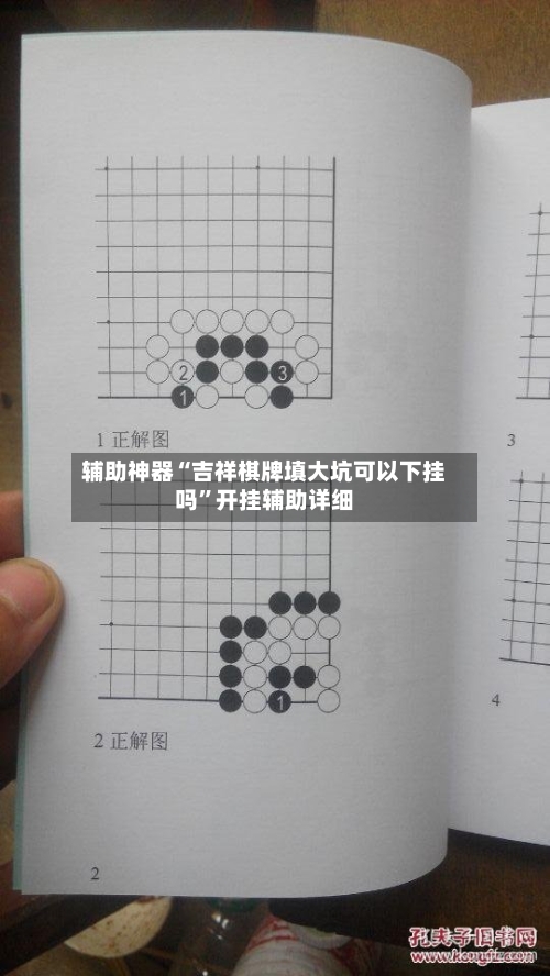 辅助神器“吉祥棋牌填大坑可以下挂吗”开挂辅助详细-第3张图片
