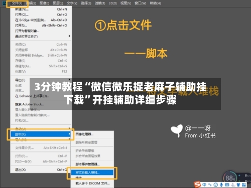 3分钟教程“微信微乐捉老麻子辅助挂下载”开挂辅助详细步骤-第2张图片