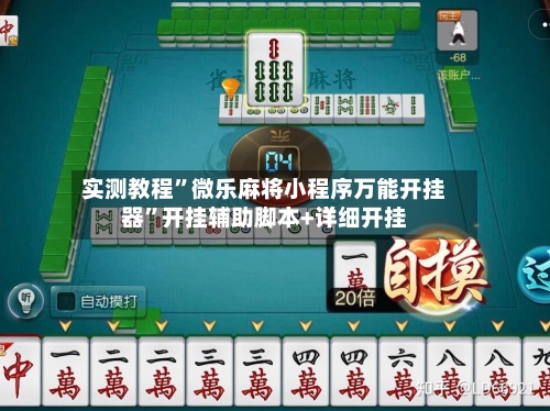 实测教程”微乐麻将小程序万能开挂器	”开挂辅助脚本+详细开挂-第2张图片