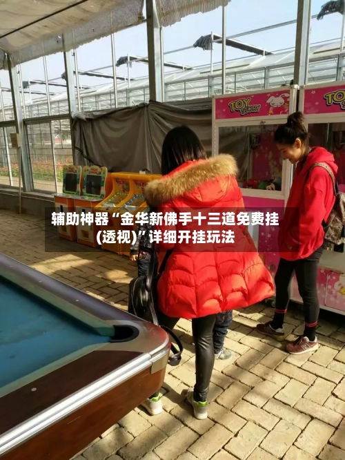 辅助神器“金华新佛手十三道免费挂(透视)”详细开挂玩法-第3张图片