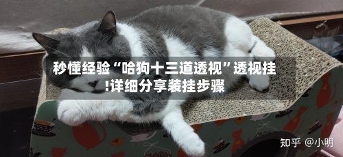 秒懂经验“哈狗十三道透视”透视挂!详细分享装挂步骤-第2张图片