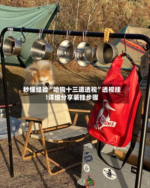秒懂经验“哈狗十三道透视”透视挂!详细分享装挂步骤-第3张图片