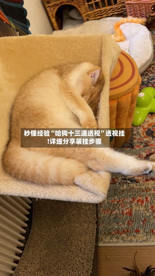 秒懂经验“哈狗十三道透视”透视挂!详细分享装挂步骤