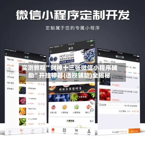 实测教程”财神十三张微信小程序辅助”开挂神器{透视辅助}全揭秘-第2张图片
