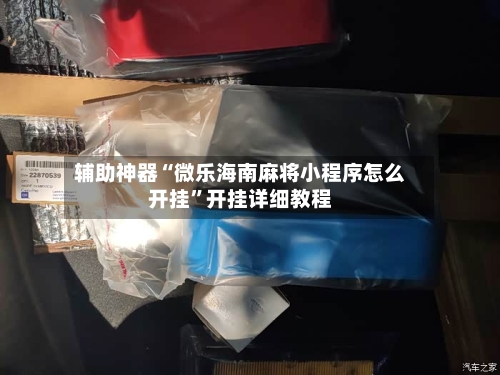 辅助神器“微乐海南麻将小程序怎么开挂”开挂详细教程-第3张图片