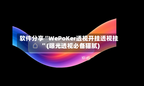 软件分享“WePoKer透视开挂透视挂”(曝光透视必备猫腻)-第2张图片