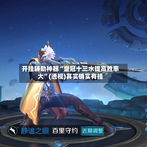 开挂辅助神器“皇冠十三水提高胜率大”(透视)其实确实有挂-第2张图片