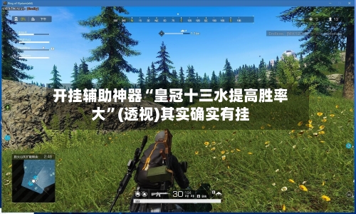 开挂辅助神器“皇冠十三水提高胜率大”(透视)其实确实有挂-第3张图片