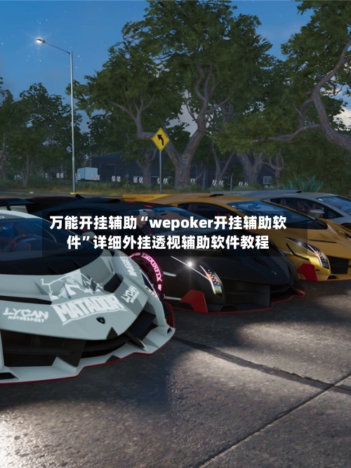万能开挂辅助“wepoker开挂辅助软件”详细外挂透视辅助软件教程-第2张图片