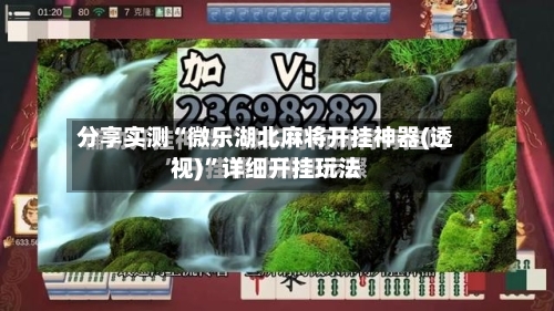 分享实测“微乐湖北麻将开挂神器(透视)	”详细开挂玩法-第2张图片