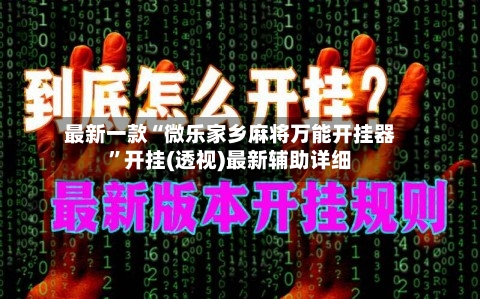 最新一款“微乐家乡麻将万能开挂器”开挂(透视)最新辅助详细-第2张图片