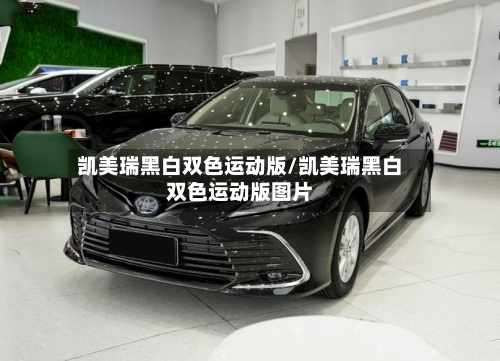 凯美瑞黑白双色运动版/凯美瑞黑白双色运动版图片-第2张图片