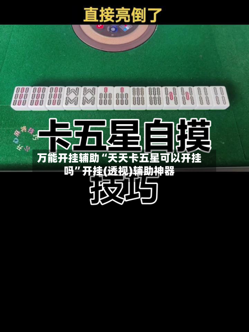 万能开挂辅助“天天卡五星可以开挂吗”开挂(透视)辅助神器-第2张图片