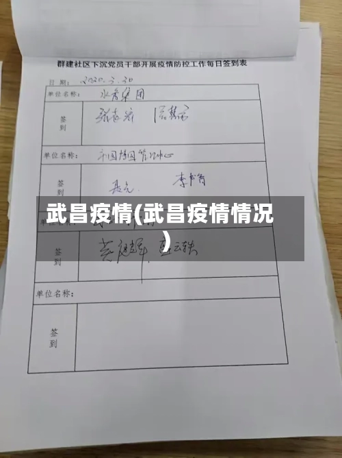 武昌疫情(武昌疫情情况)