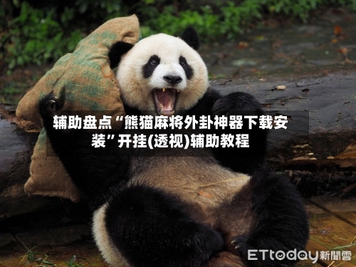 辅助盘点“熊猫麻将外卦神器下载安装”开挂(透视)辅助教程-第2张图片