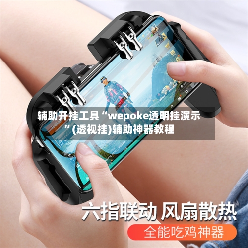 辅助开挂工具“wepoke透明挂演示	”(透视挂)辅助神器教程-第2张图片