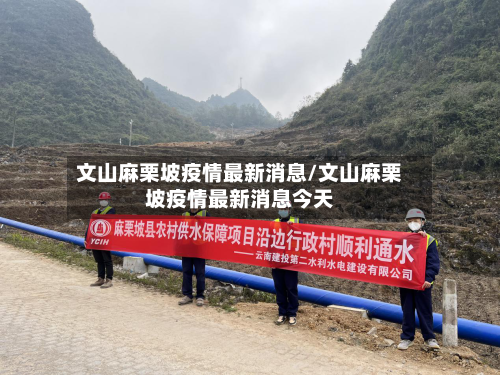 文山麻栗坡疫情最新消息/文山麻栗坡疫情最新消息今天