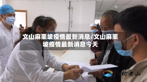 文山麻栗坡疫情最新消息/文山麻栗坡疫情最新消息今天-第3张图片
