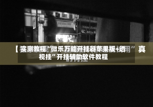 实测教程“微乐万能开挂器苹果版+透视挂”开挂辅助软件教程-第2张图片