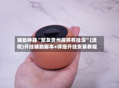 辅助神器“聚友贵州麻将有挂没”(透视)开挂辅助脚本+详细开挂安装教程-第2张图片