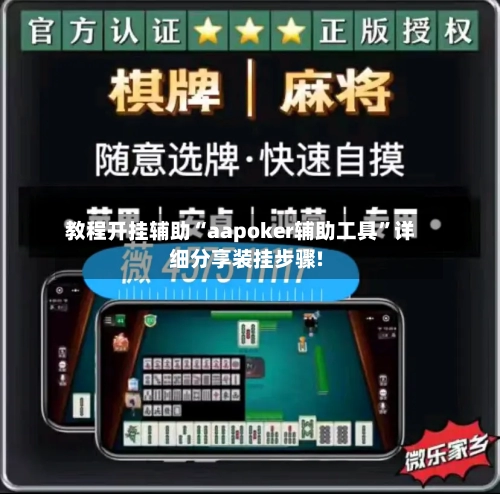 教程开挂辅助“aapoker辅助工具”详细分享装挂步骤!-第3张图片