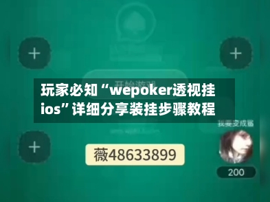 玩家必知“wepoker透视挂ios”详细分享装挂步骤教程-第2张图片