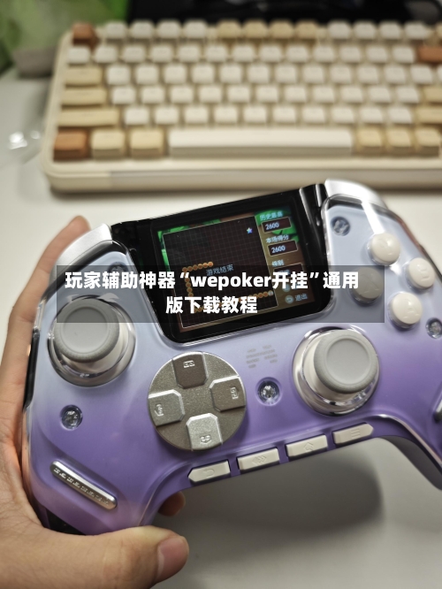 玩家辅助神器“wepoker开挂	”通用版下载教程-第3张图片