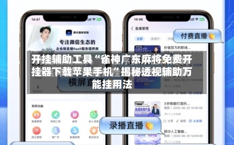 开挂辅助工具“雀神广东麻将免费开挂器下载苹果手机”揭秘透视辅助万能挂用法-第2张图片