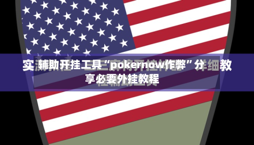 辅助开挂工具“pokernow作弊”分享必要外挂教程-第2张图片