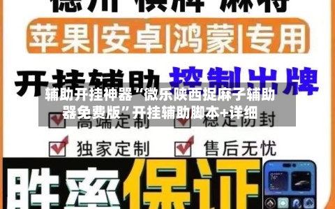 辅助开挂神器“微乐陕西捉麻子辅助器免费版	”开挂辅助脚本+详细-第2张图片