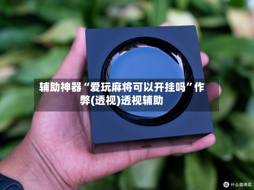 辅助神器“爱玩麻将可以开挂吗”作弊(透视)透视辅助