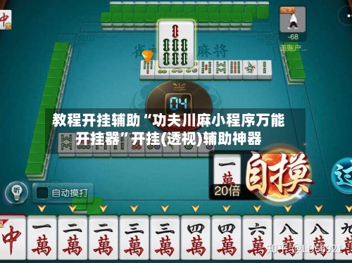 教程开挂辅助“功夫川麻小程序万能开挂器”开挂(透视)辅助神器