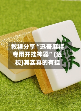 教程分享“迅奇麻将专用开挂神器”(透视)其实真的有挂