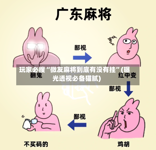 玩家必搜“微友麻将到底有没有挂”(曝光透视必备猫腻)