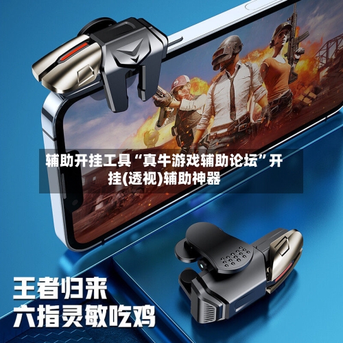 辅助开挂工具“真牛游戏辅助论坛”开挂(透视)辅助神器