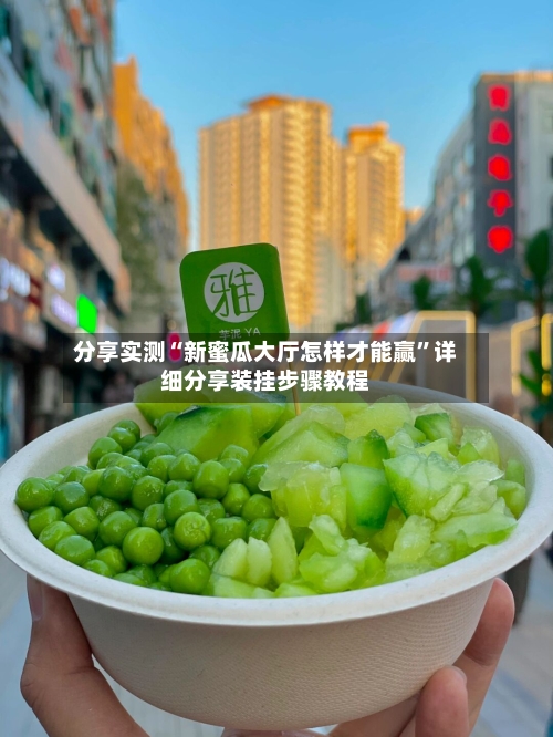 分享实测“新蜜瓜大厅怎样才能赢”详细分享装挂步骤教程