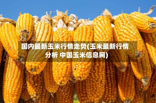 国内最新玉米行情走势(玉米最新行情分析 中国玉米信息网)