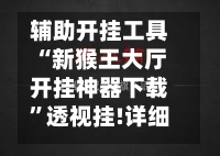 辅助开挂工具“新猴王大厅开挂神器下载”透视挂!详细分享装挂步骤