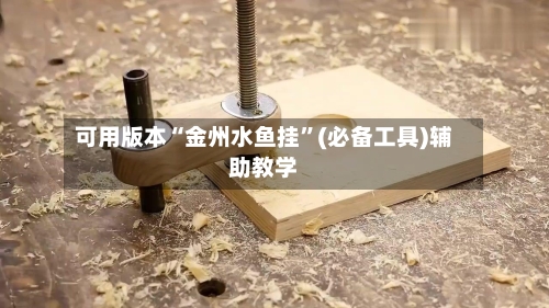 可用版本“金州水鱼挂”(必备工具)辅助教学