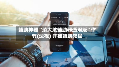 辅助神器“填大坑辅助器通用版”作弊(透视) 开挂辅助教程
