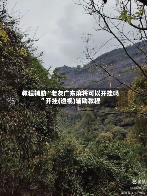 教程辅助“老友广东麻将可以开挂吗”开挂(透视)辅助教程